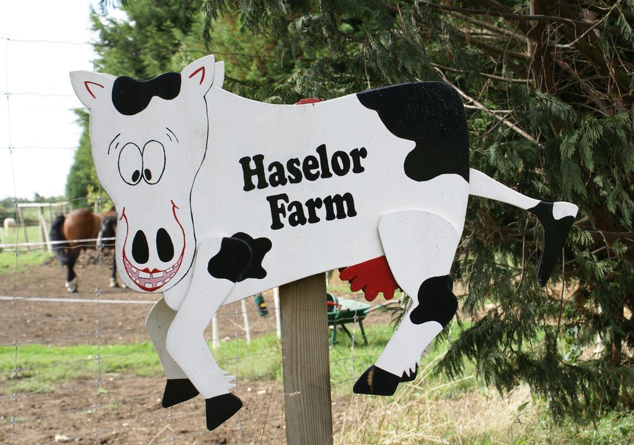 Haselor Farm B & B Evesham Dış mekan fotoğraf